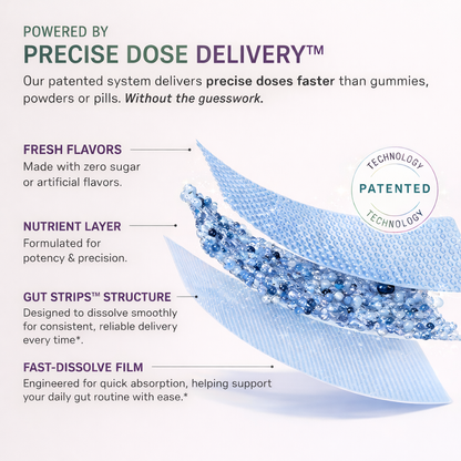 Gut Strips – Probiotic Dissolve Strips for Gut Health & Digestion – 10 Billion CFU, Sugar-Free (30 Strips)